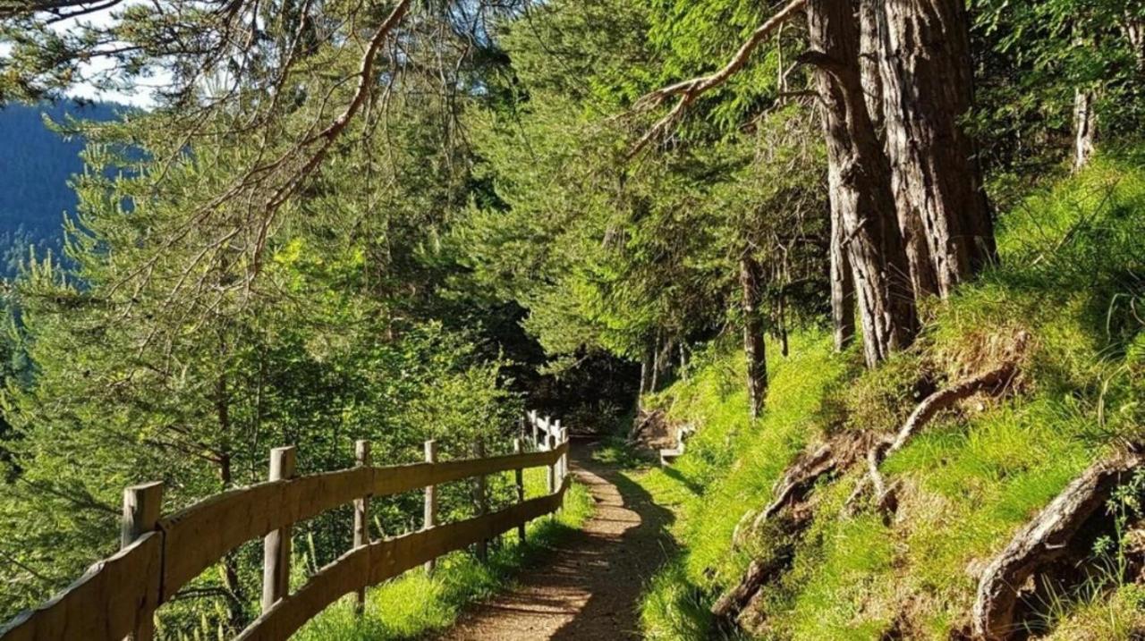 カヴァレーゼCasa Gilda Val Di Fiemme - Dolomitiアパートメント エクステリア 写真