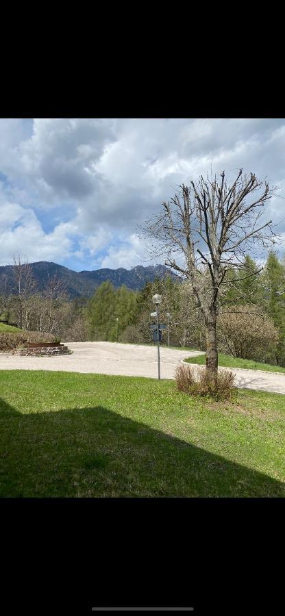 カヴァレーゼCasa Gilda Val Di Fiemme - Dolomitiアパートメント エクステリア 写真